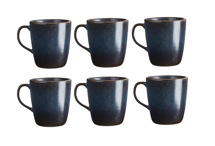 Raw mugg med öra 30 cl 6-pack - Blue - Aida