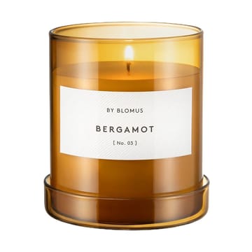 Vaola doftljus Bergamot - L, 45 H - blomus