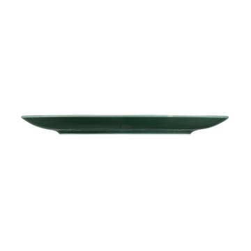 Terra tallrik Ø22,7 cm 6-pack - Moss Green - Seltmann Weiden