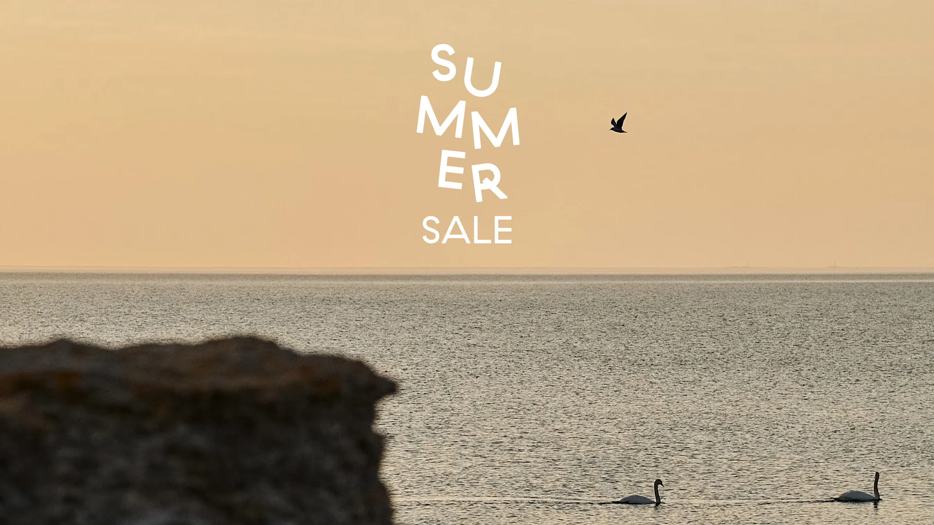 Texten 'Summer Sale' över en lugn havsscen med två simmande svanar och en flygande fågel under en varm himmel.
